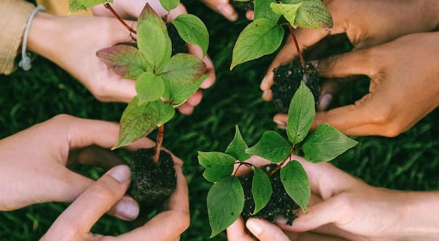 Environmental Conservation